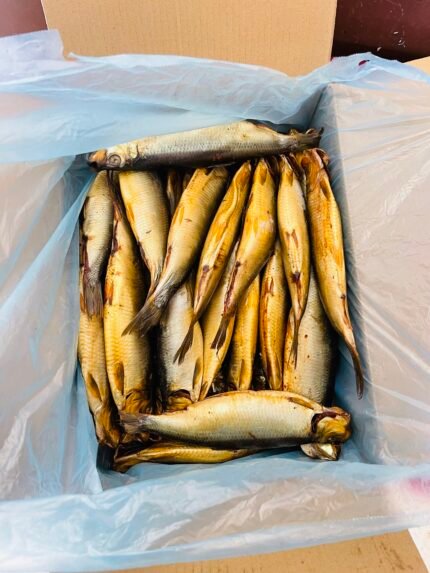 رنجة مدخنة ابوالسيد (وسط)