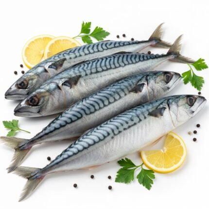 سمك ماكريل نرويجي