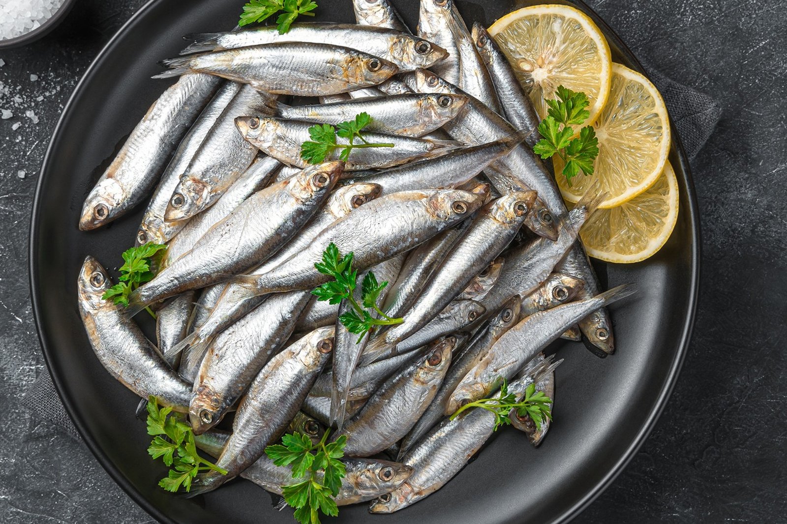 l-intro-1677767225 1 (1)